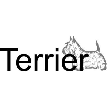 Terrier
